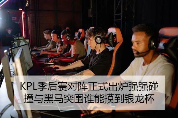 KPL季后赛对阵正式出炉强强碰撞与黑马突围谁能摸到银龙杯 - wukongsports